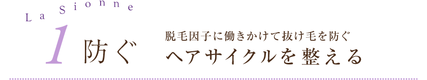 1.防ぐ 脱毛因子に働きかけて抜け毛を防ぐ ヘアサイクルを正常化