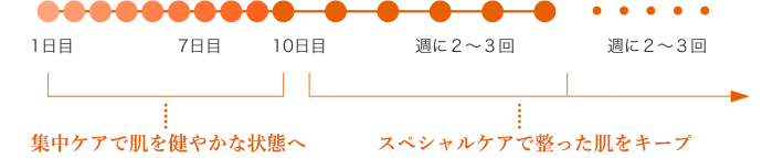 １日目〜集中ケアで肌を健やかな状態へ　１０日目〜スペシャルケアで整った肌をキープ