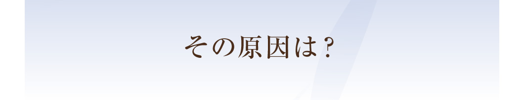 その原因は？