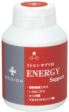 ENERGY Support