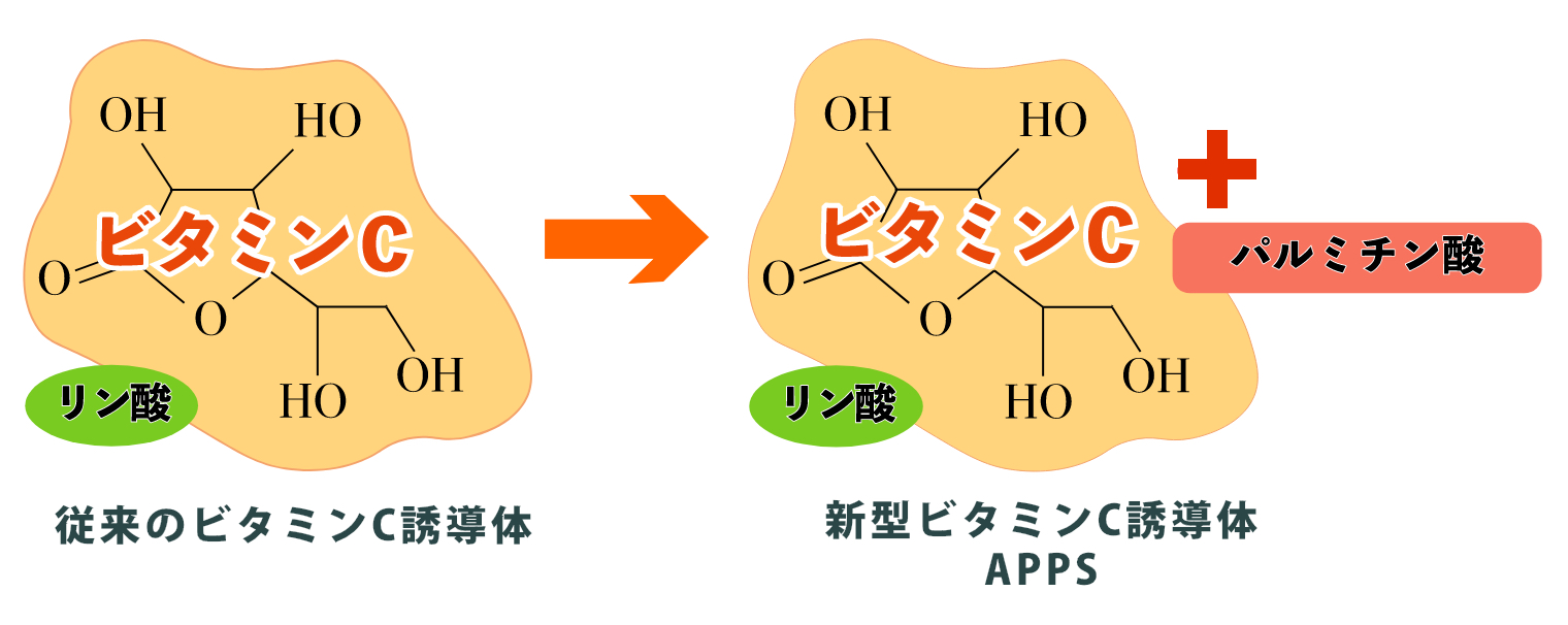 新浸透型ビタミンC誘導体 APPS